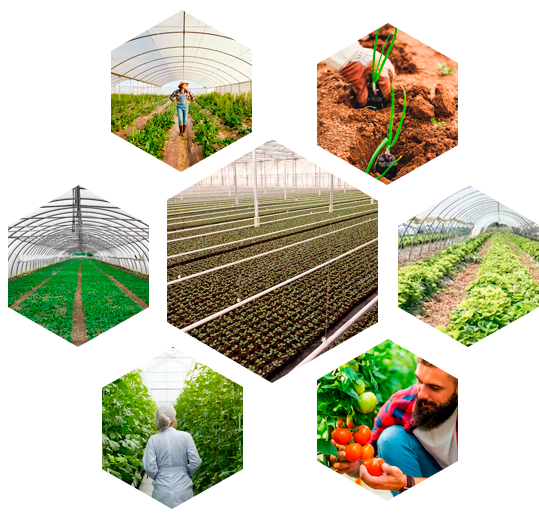 Kayseri Tarıma Dayalı Sera İhtisas OTB