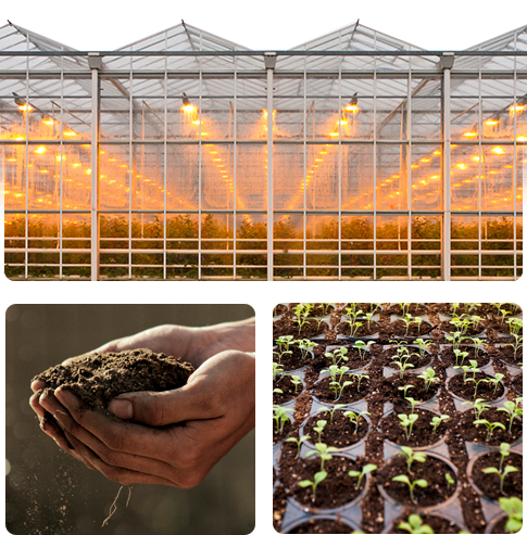 Kayseri Tarıma Dayalı Sera İhtisas OTB